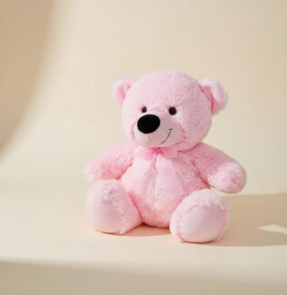 pastel teddy bear gift gold coast
