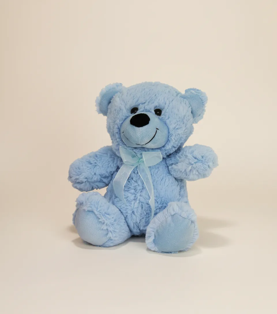 pastel teddy bear gift gold coast