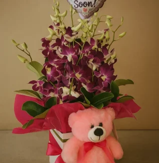Get well flowers Gold Coast with orchid plant teddy bear and balloon for hospital delivery