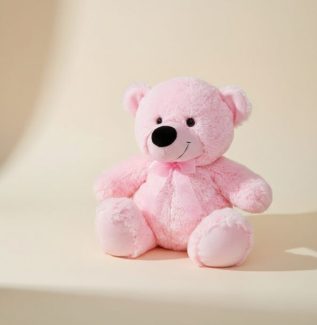 Medium teddy bear pink or blue soft plush gift for delivery in Gold Coast
