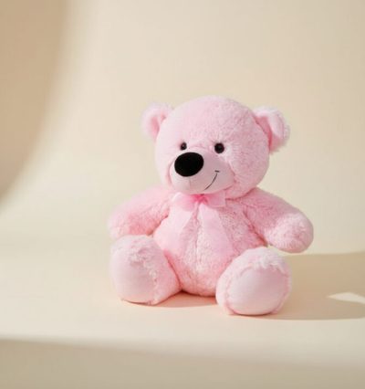 Medium teddy bear pink or blue soft plush gift for delivery in Gold Coast