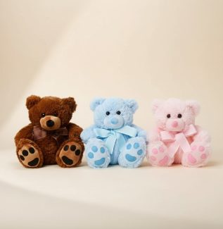 Soft teddy bear gift Gold Coast add on for flowers and hampers