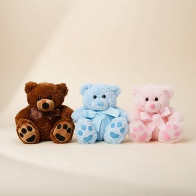 Soft teddy bear gift Gold Coast add on for flowers and hampers