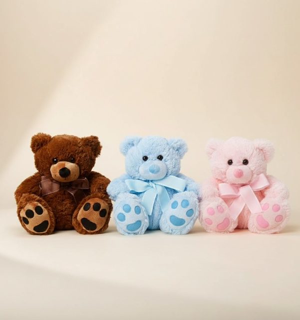 Soft teddy bear gift Gold Coast add on for flowers and hampers