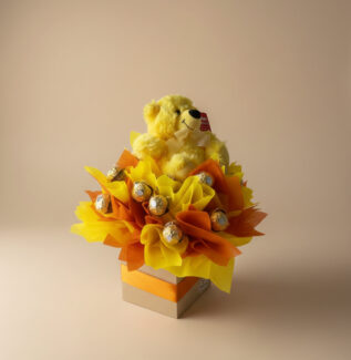 Delicia Teddy & Chocolate Gift Box
