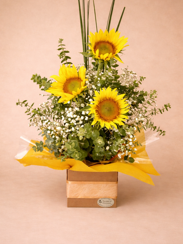 sunflower flower box arrangement Gold Coast same day delivery with baby's breath