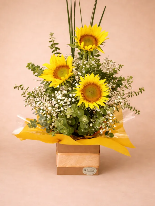 sunflower flower box arrangement Gold Coast same day delivery with baby's breath