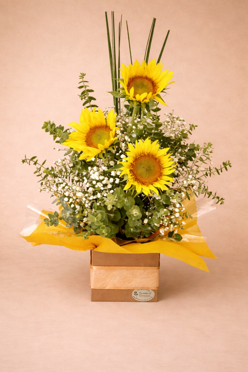 sunflower flower box arrangement Gold Coast same day delivery with baby's breath