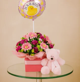 Girl New Baby Flowers Balloon Teddy Florist GC