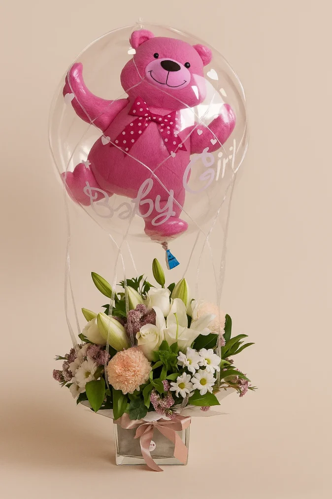 new baby gifts Clarita bundle