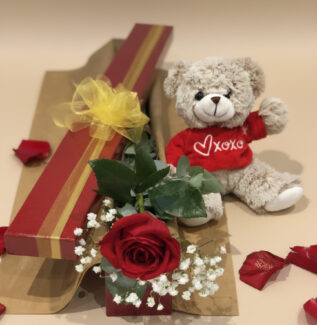 Single Rose & Teddy Bear Gift