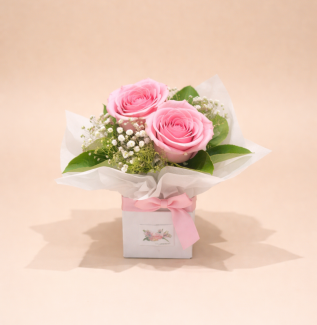 Two pink roses mini arrangement with baby’s breath in a small box – romantic flower gift Gold Coast delivery