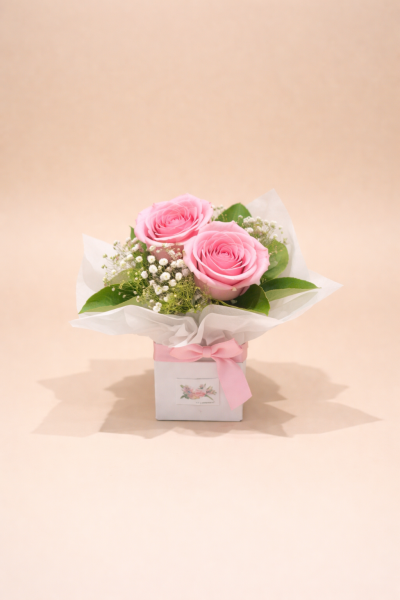 Two pink roses mini arrangement with baby’s breath in a small box – romantic flower gift Gold Coast delivery