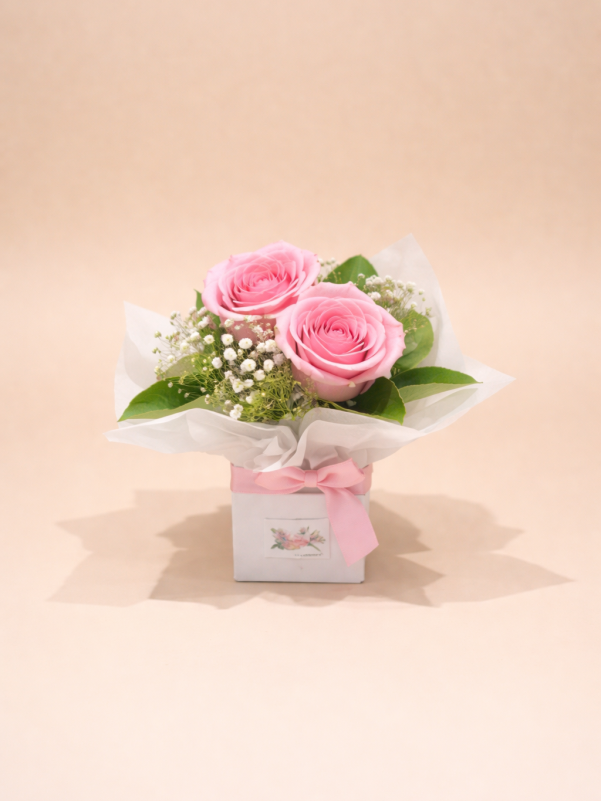 Two pink roses mini arrangement with baby’s breath in a small box – romantic flower gift Gold Coast delivery