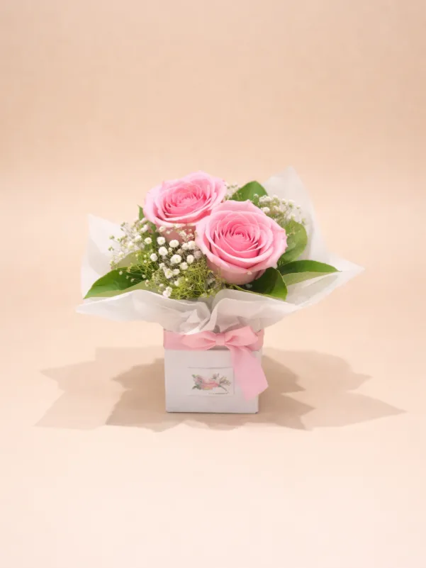 Two pink roses mini arrangement with baby’s breath in a small box – romantic flower gift Gold Coast delivery