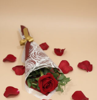 single red rose gold coast