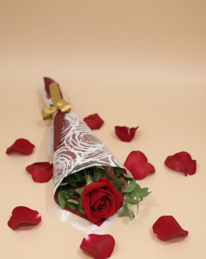 Single red rose bouquet wrapped in elegant paper, perfect romantic gift on the Gold Coast