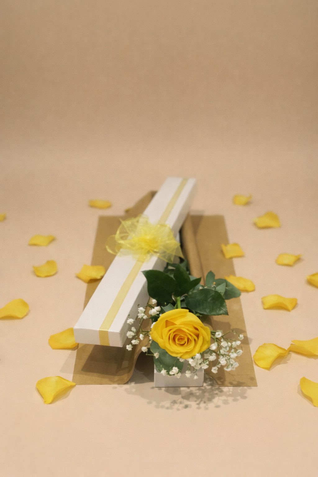 yellow rose in a white gift box with baby’s breath and petals on a beige background Gold Coast