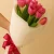 No vase