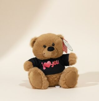 Teddy Bear Gift