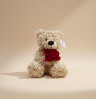 Rose Bear Gift Gold Coast