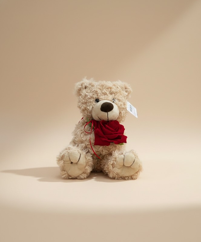Rose Bear Gift Gold Coast