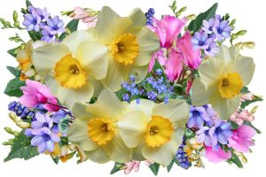 flower care in warm conditions