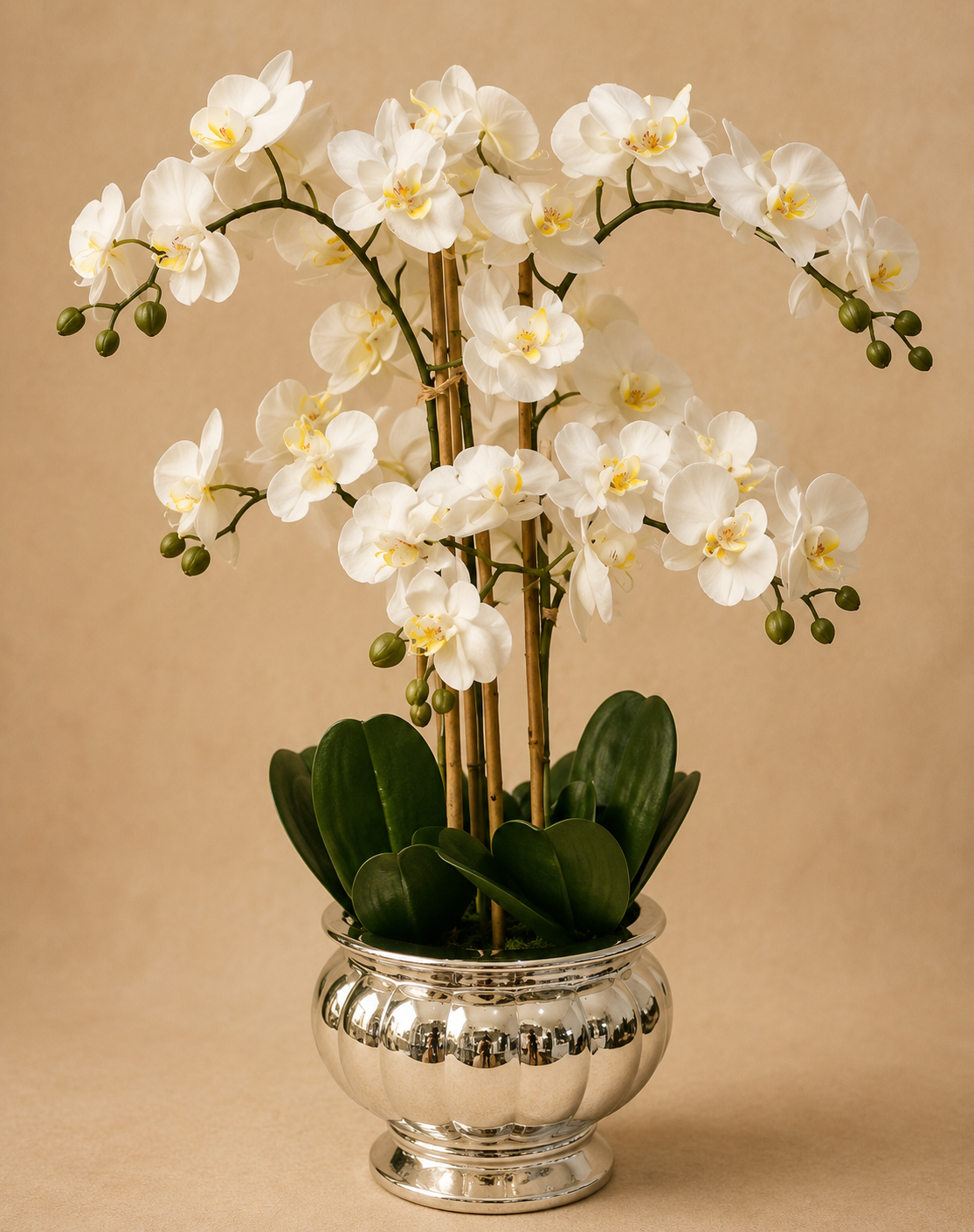 Margarita artificial orchid arrangement - white phalaenopsis orchids in a silver pedestal vase, Flowers of Southport Gold Coast