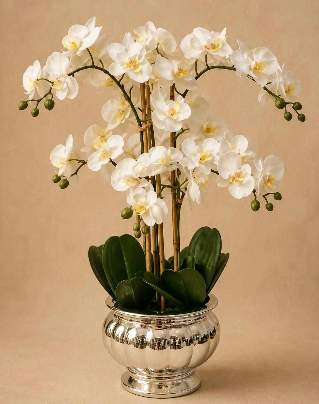 Margarita artificial orchid arrangement - white phalaenopsis orchids in a silver pedestal vase, Flowers of Southport Gold Coast